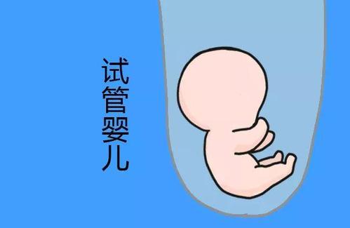 PGT三代试管